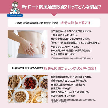 신 로토 방풍통성산 정제 Z2