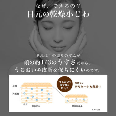 女性の顔と目元の皮膚構造図