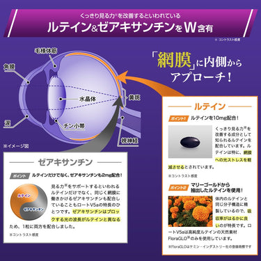 루테인역활
