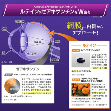 루테인역활