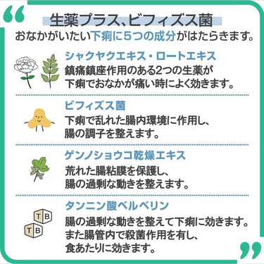비오페르민 지사제 〈정제〉