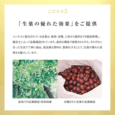 윤켈 황제 골드
