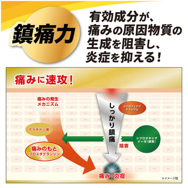ボルタレン EX ローション