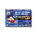 ベンザブロック IP プレミアム DX (熱)