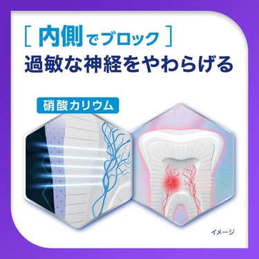シュミテクト プラチナプロテクトEX