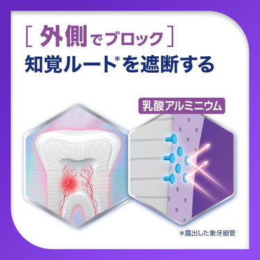 シュミテクト プラチナプロテクトEX 集中ナイトケア