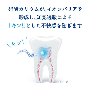 슈미텍트 트루 화이트