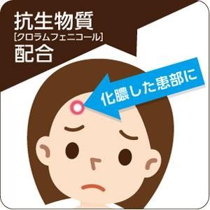 クロロマイセチン 軟膏 2%A