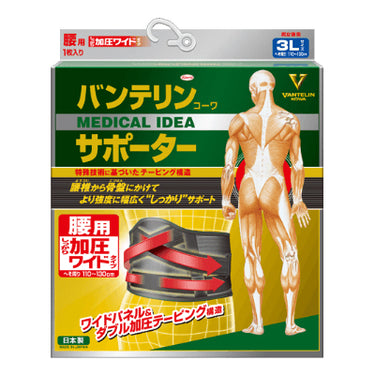 반테린 코와 서포터 허리 가압형