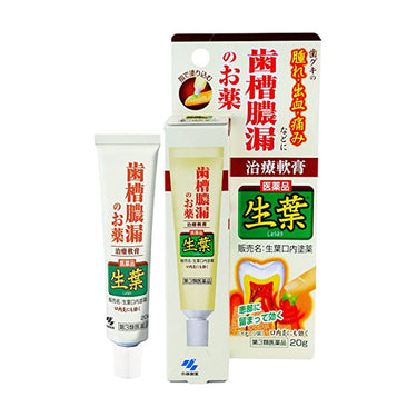 小林製薬 生葉口内塗薬 20g