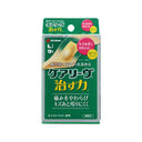 ニチバン ケアリーヴ 治す力 Lサイズ 9枚入