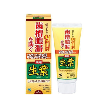생엽 잇몸을 조여주는 치약